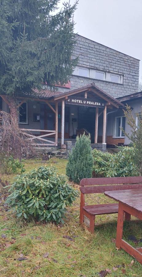 Apartman Novohradky 22 Benesov nad Cernou Buitenkant foto