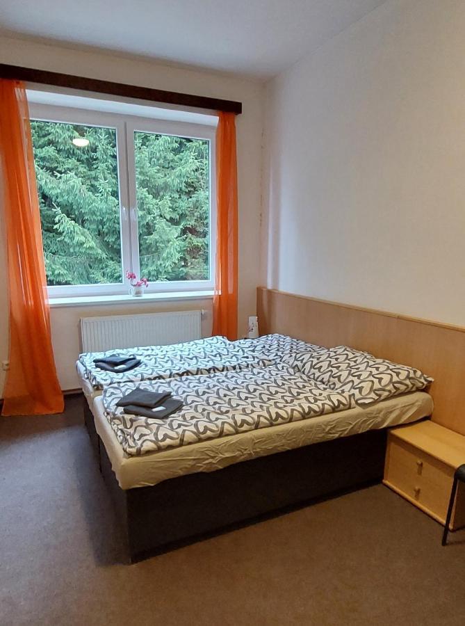 Apartman Novohradky 22 Benesov nad Cernou Buitenkant foto