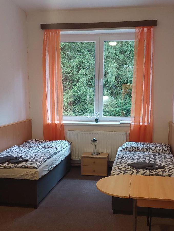 Apartman Novohradky 22 Benesov nad Cernou Buitenkant foto