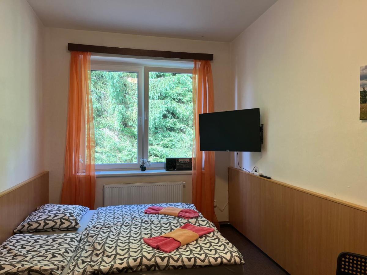 Apartman Novohradky 22 Benesov nad Cernou Buitenkant foto