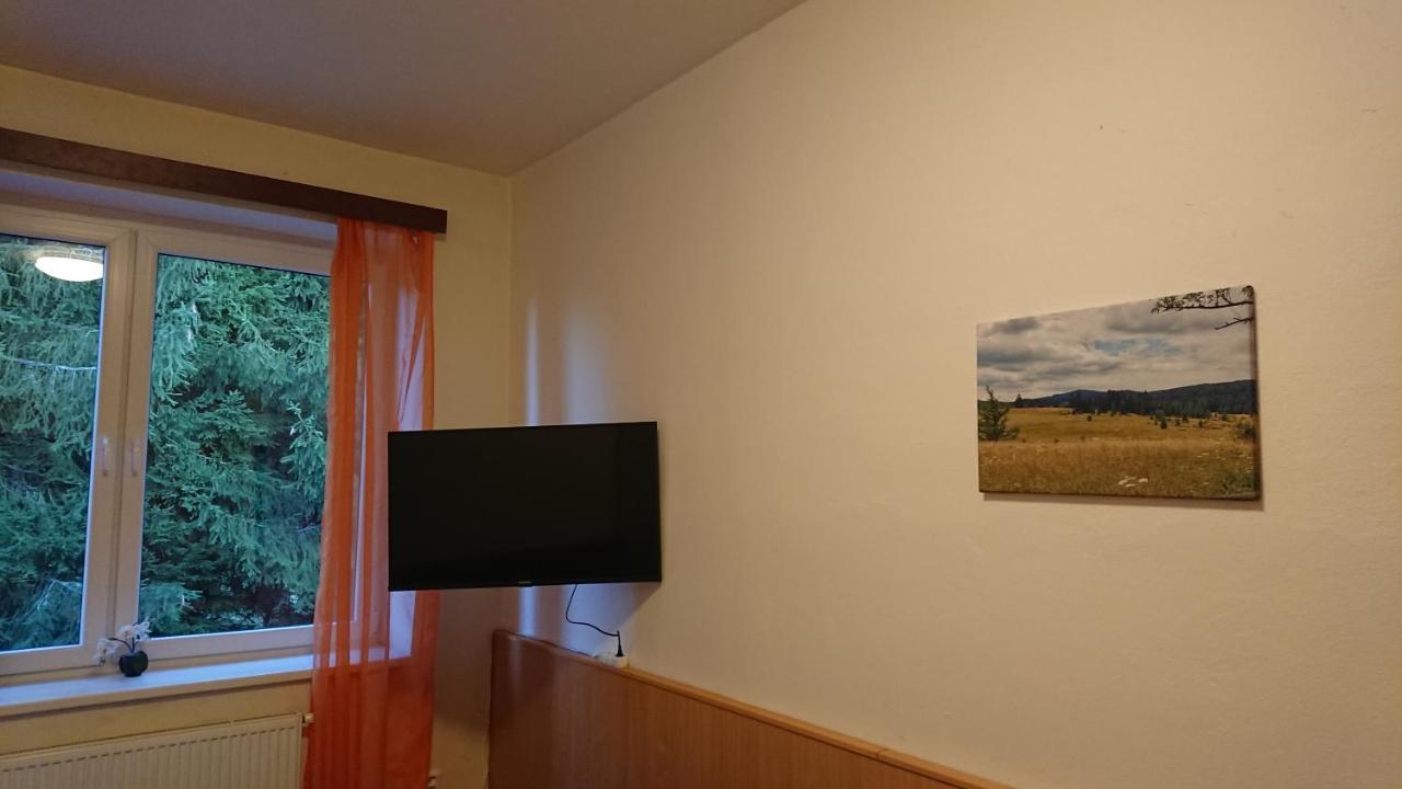 Apartman Novohradky 22 Benesov nad Cernou Buitenkant foto
