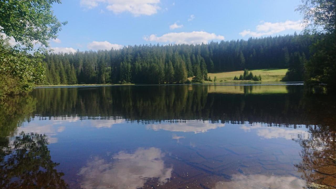 Apartman Novohradky 22 Benesov nad Cernou Buitenkant foto