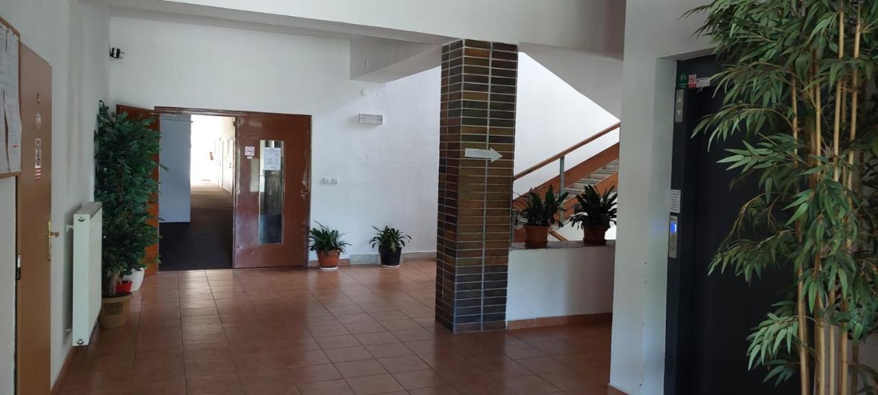 Apartman Novohradky 22 Benesov nad Cernou Buitenkant foto