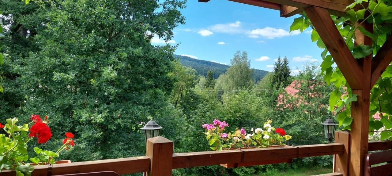 Apartman Novohradky 22 Benesov nad Cernou Buitenkant foto